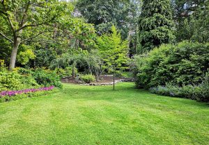 Optimiser l'expérience du jardin à Griesheim-sur-Souffel